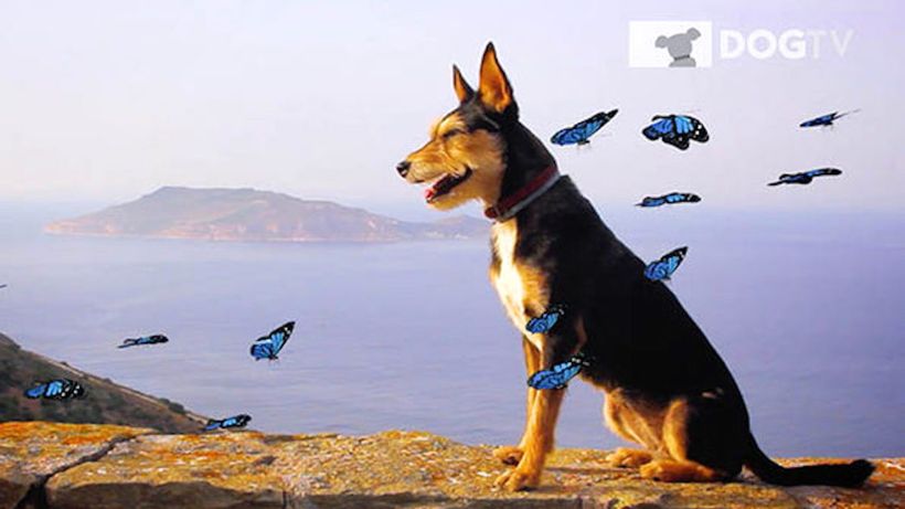 Article feature image