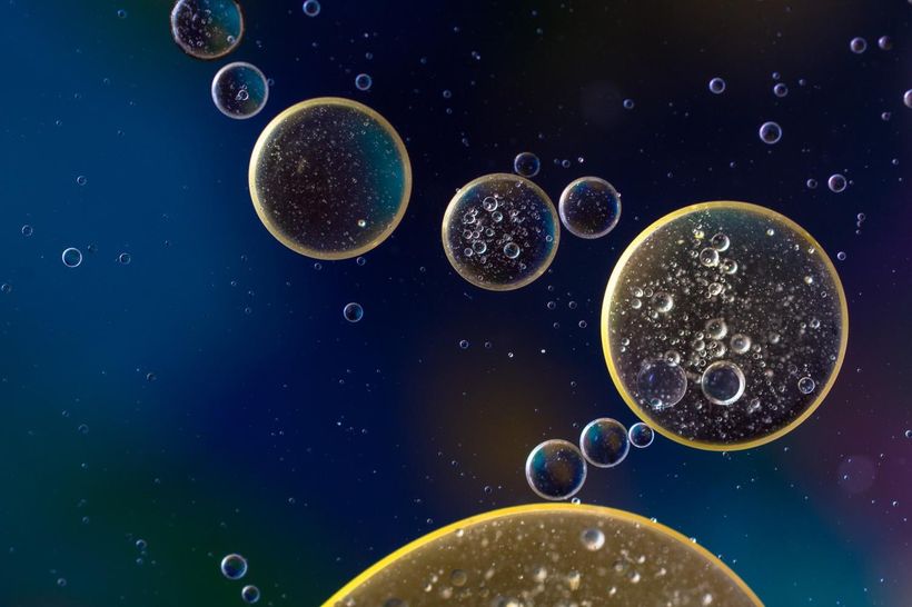Article feature image