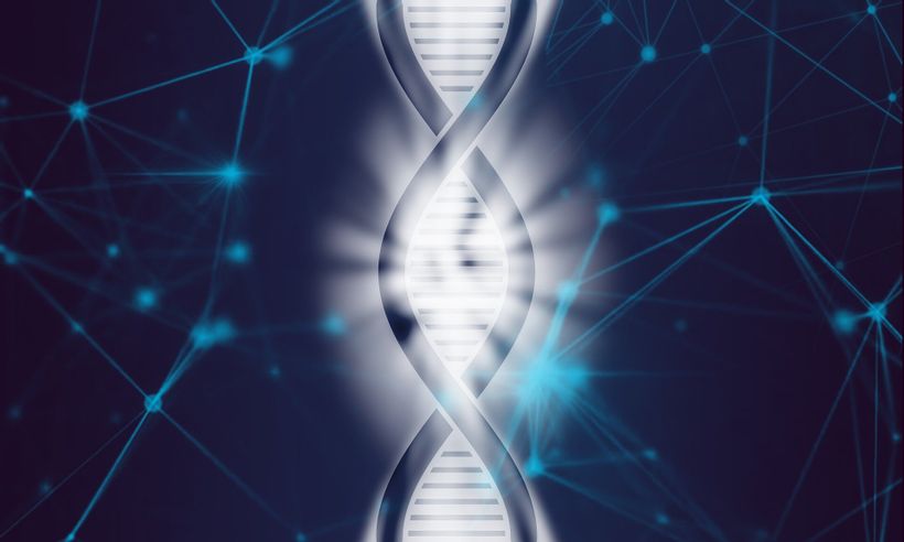Article feature image