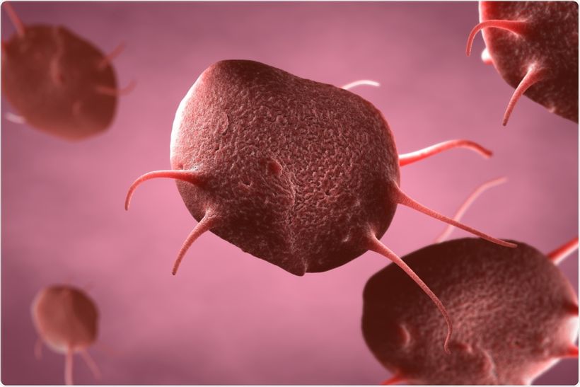 Article feature image