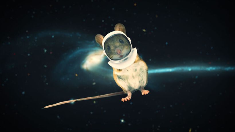 Article feature image