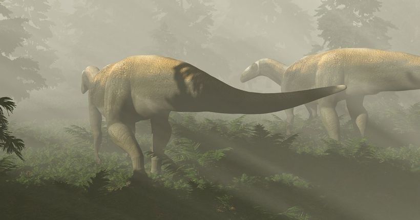 Article feature image