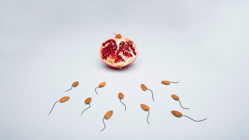 Article feature image