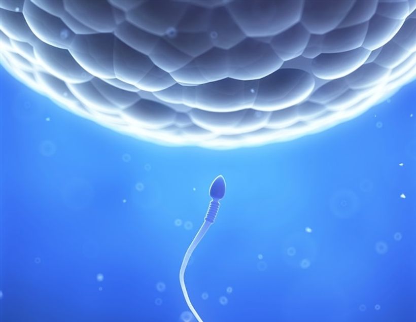 Article feature image