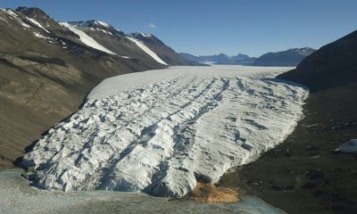 Article feature image