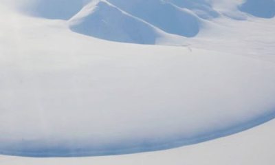 Article feature image