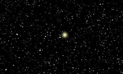 Article feature image