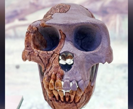 Article feature image