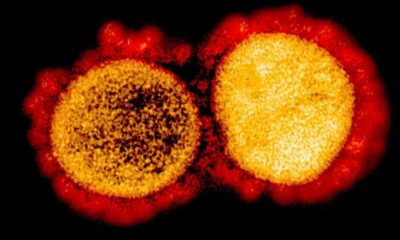 Article feature image