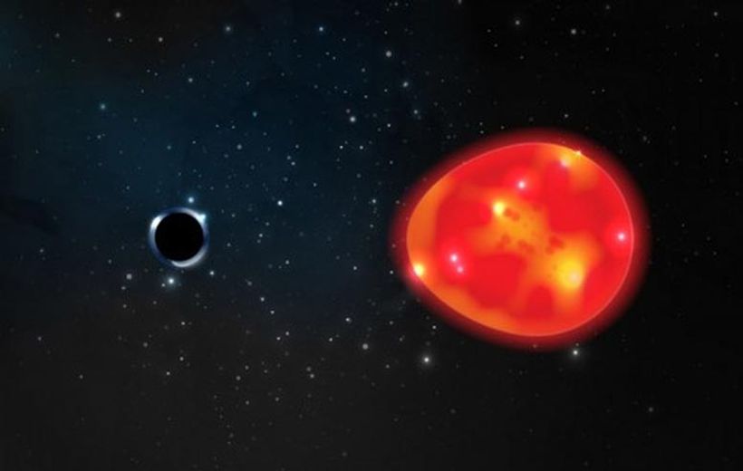 Article feature image