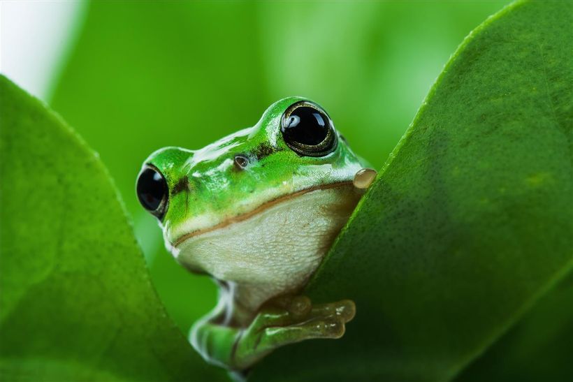 Article feature image