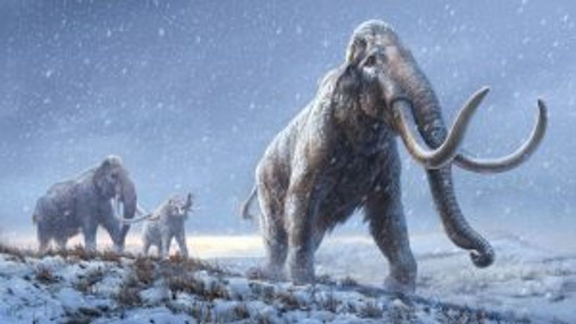 Article feature image
