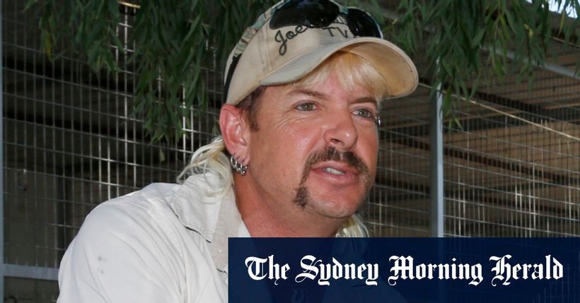 Article feature image