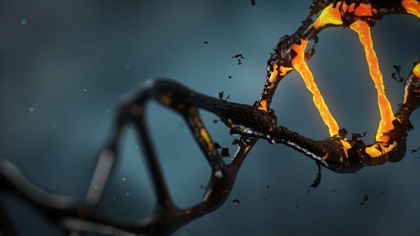 Article feature image