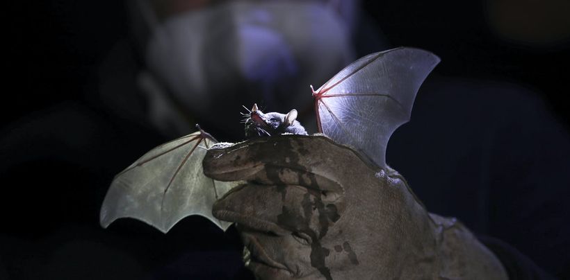 Article feature image