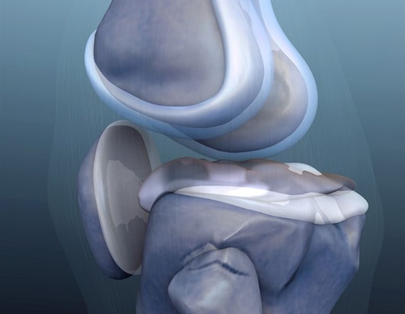 Article feature image