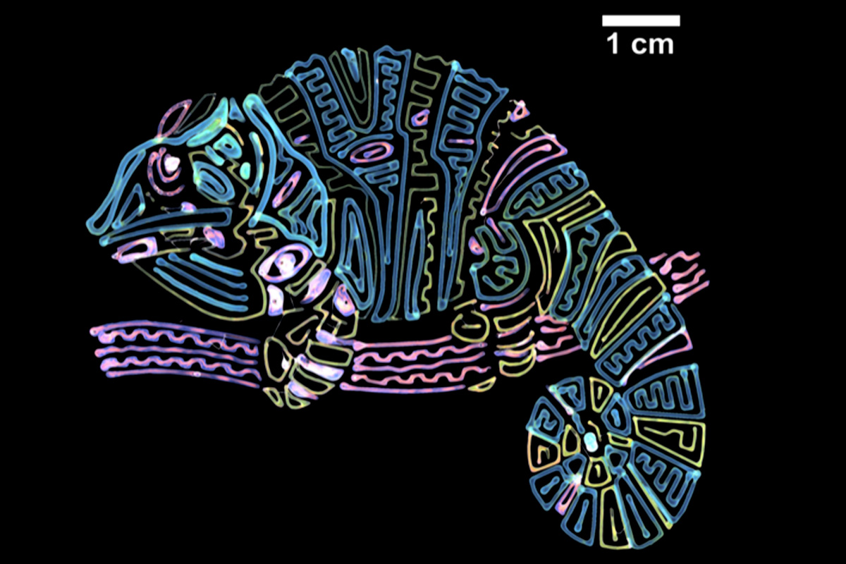 post featured image