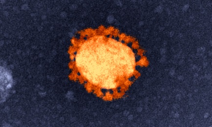 post featured image