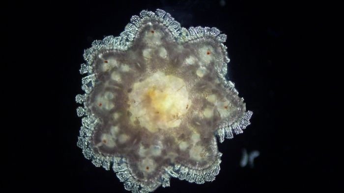 post featured image