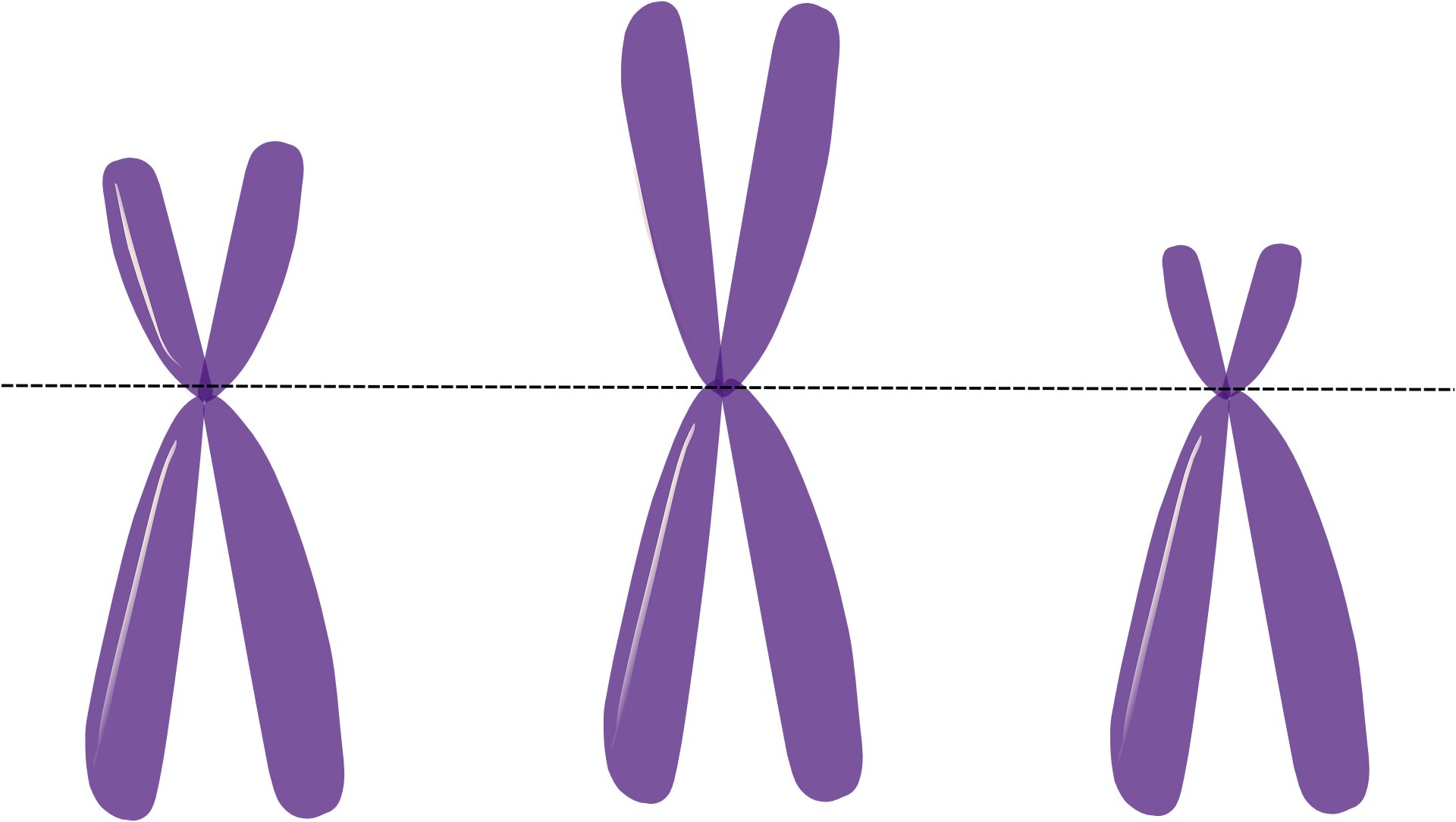 post featured image