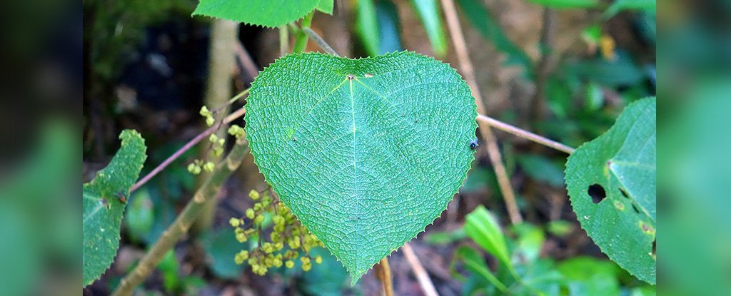 post featured image