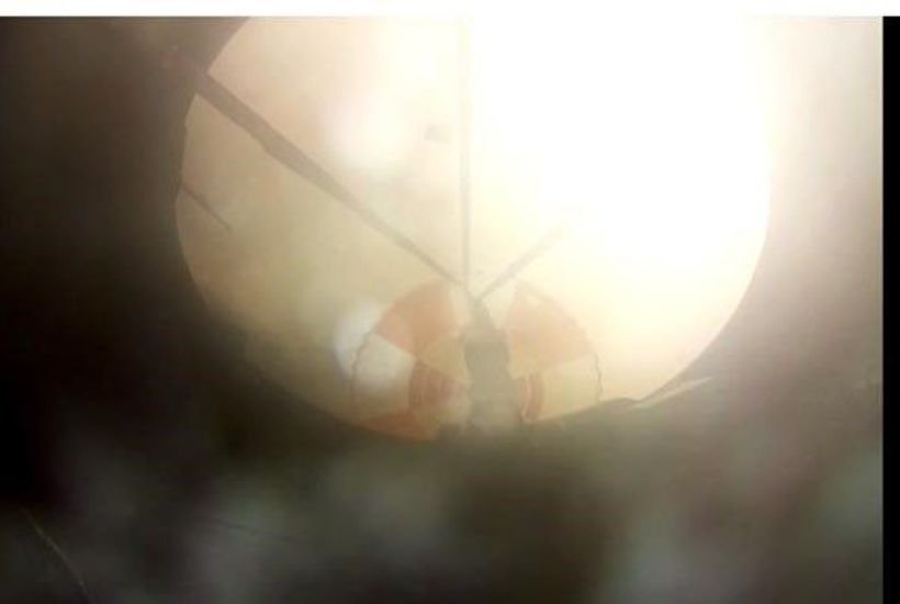 post featured image