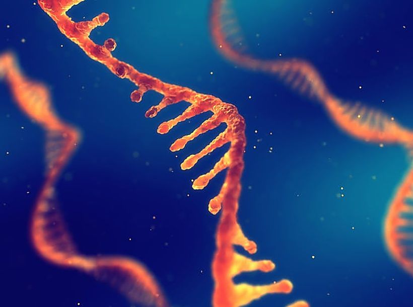 post featured image