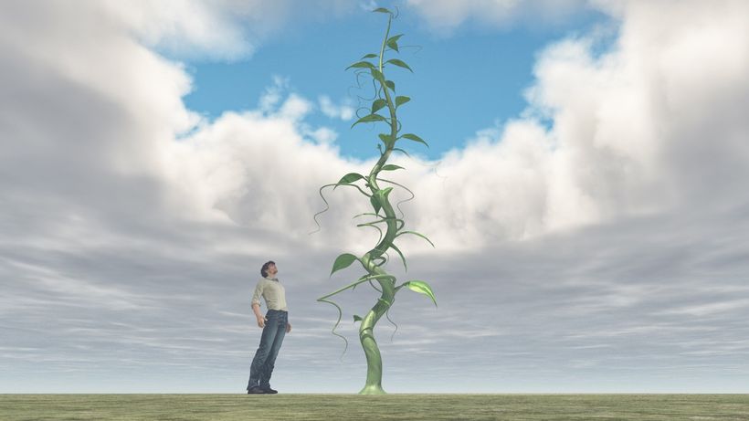 Article feature image