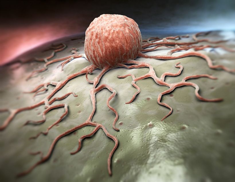 Article feature image