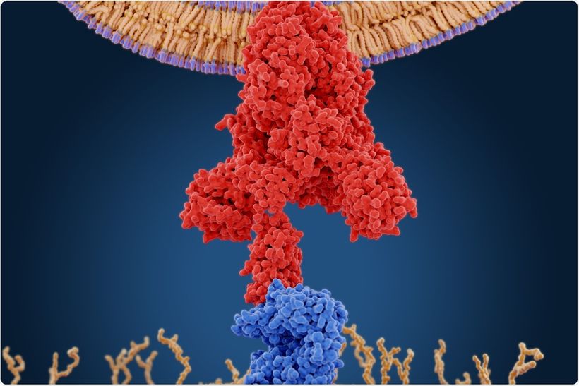 Article feature image
