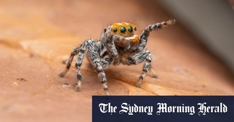 Article feature image