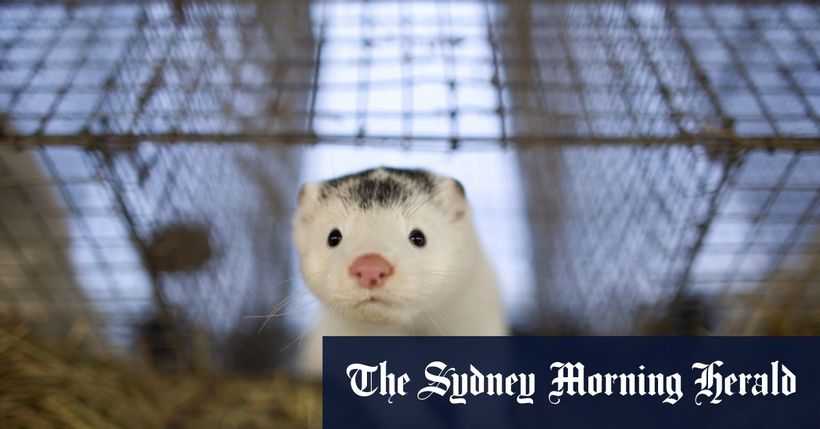 Article feature image