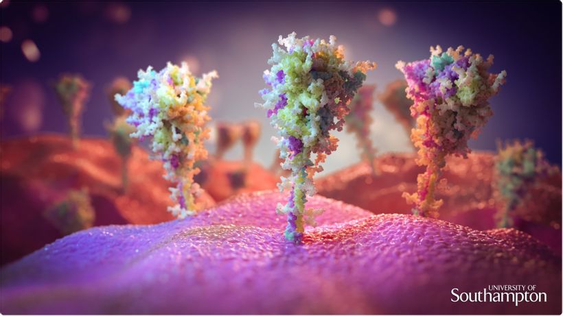 Article feature image