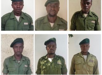 From @VirungaNationalPark: It is with immense sadness that Virunga National Park…