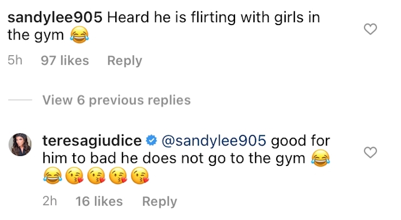 RHONJ Teresa Giudice Claps Back at Rumors of Luis Ruelas Cheating at the Gym