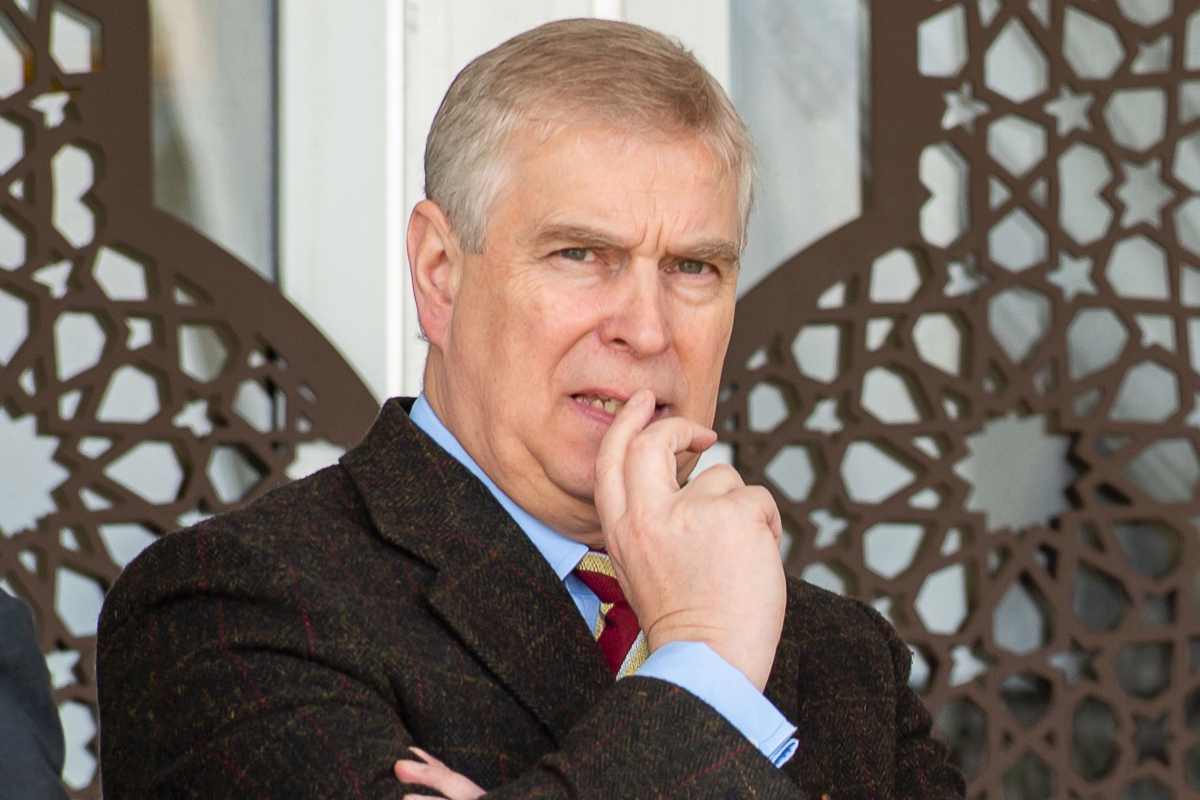 Virginia hamilton sheryl b andrews essay 03 picture