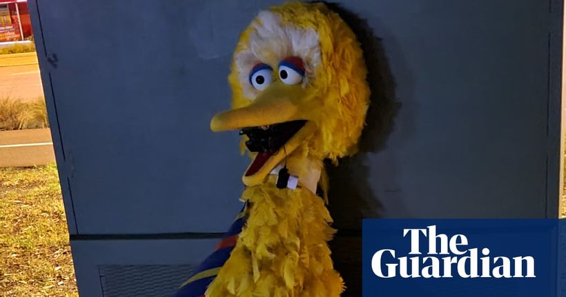 Article feature image