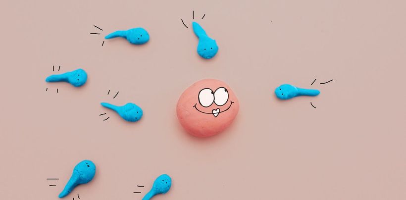 Article feature image