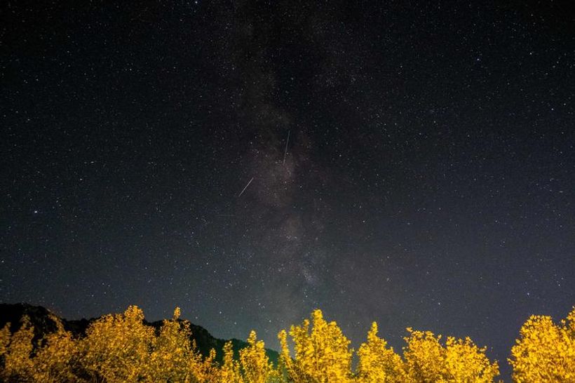 Article feature image