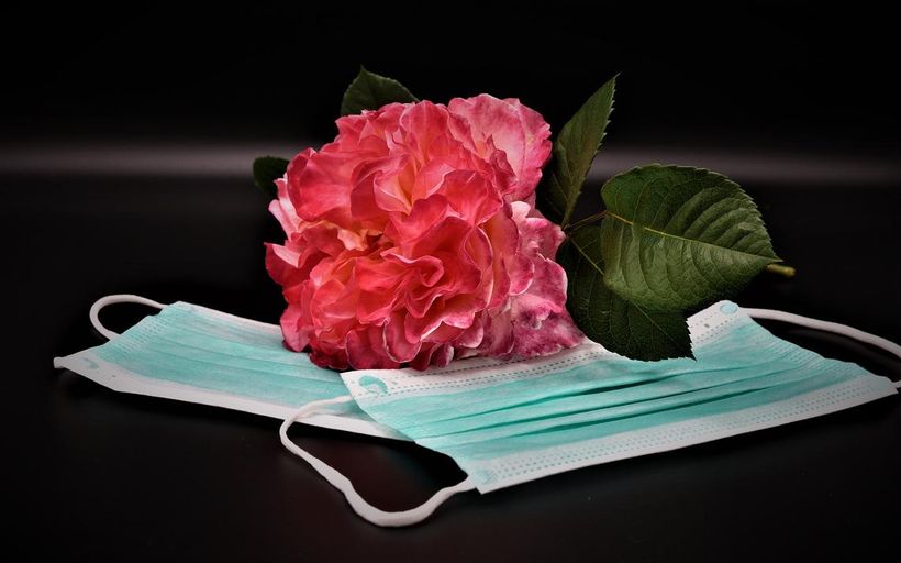 Article feature image