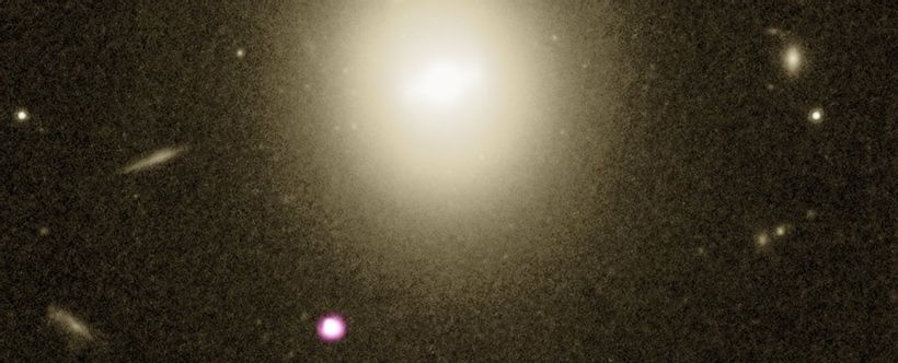 Article feature image