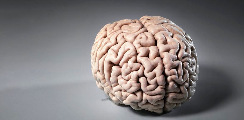 Article feature image