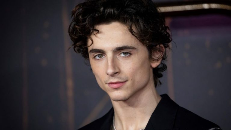 Timothee Chalamet Net Worth 2021: ‘Willy Wonka,’ ‘Dune’ Salary ...