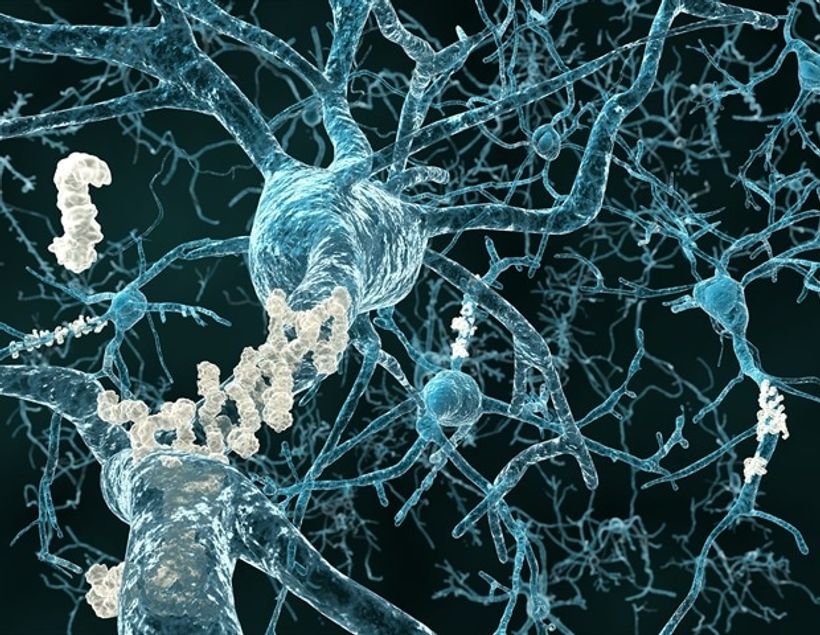 Article feature image