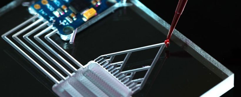 Article feature image