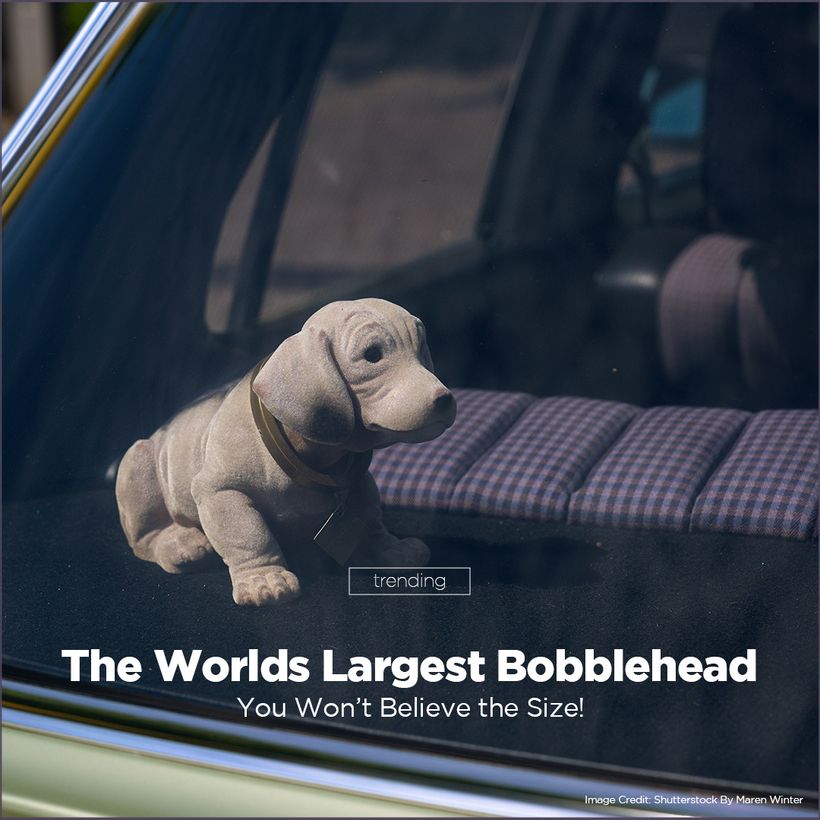 Article feature image